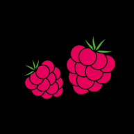 Wie pflanze ich Himbeeren?