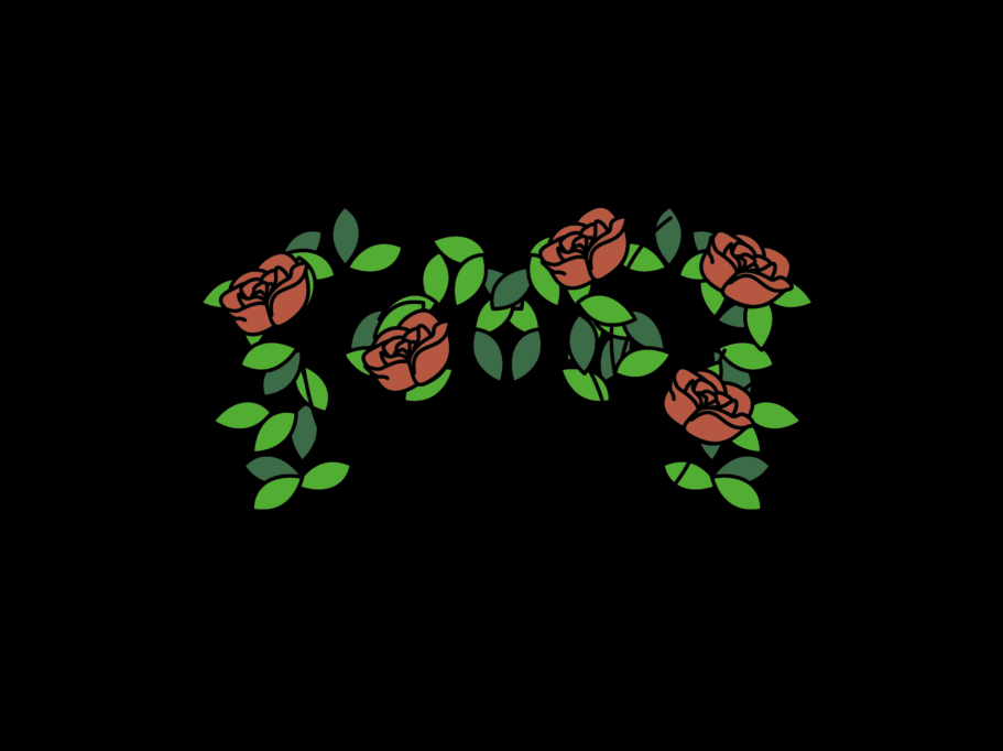Wie pflanze ich Rosen?