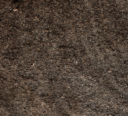 Aussaaterde unkrautfrei