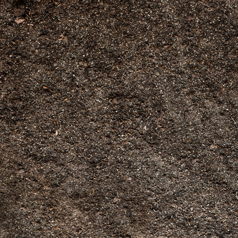 Aussaaterde unkrautfrei